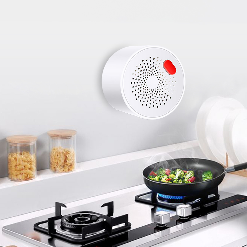 Tuya 스마트 홈 와이파이 천연 가스 센서, 가연성  - Home Security Devices 리뷰 및 가격